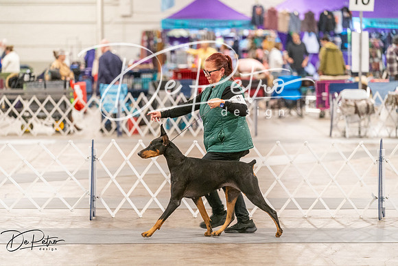 20261024-DSC00867