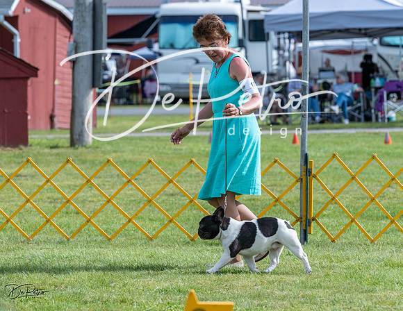 20230513-DSC00376