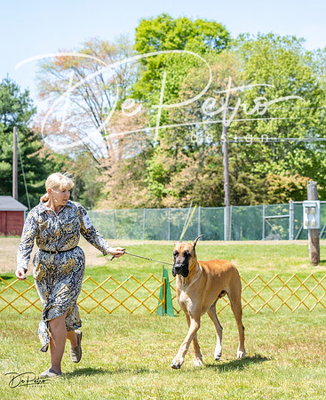 20230514-DSC07943