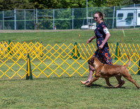 20230514-DSC03631