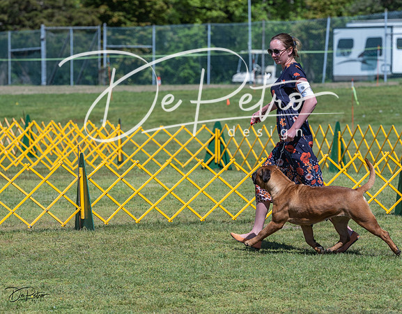 20230514-DSC03631