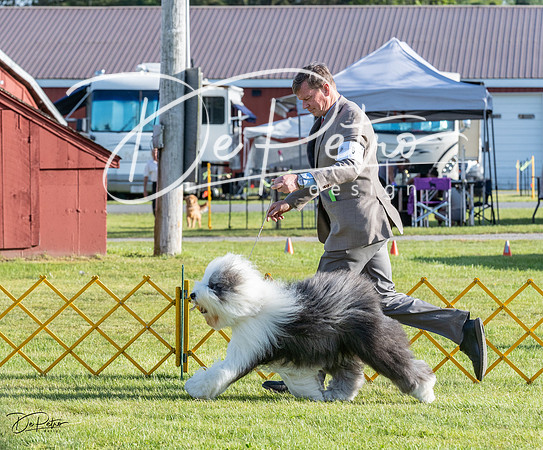 20230513-DSC02468