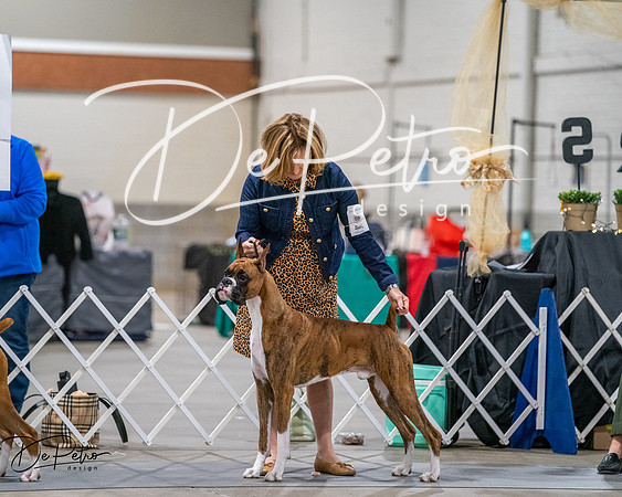 20261022-DSC02756