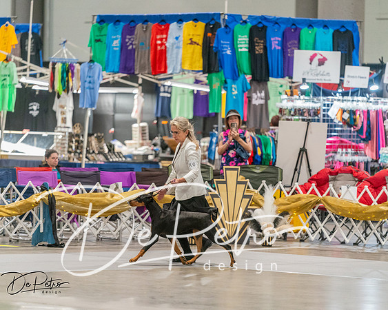 20260927-DSC05189