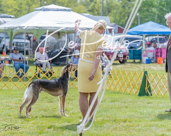 20230513-DSC09550
