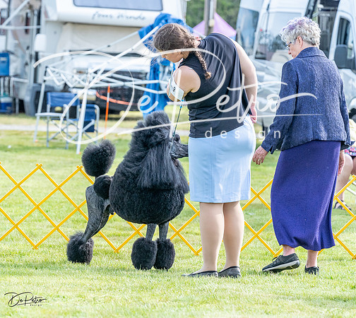 20230512-DSC06696