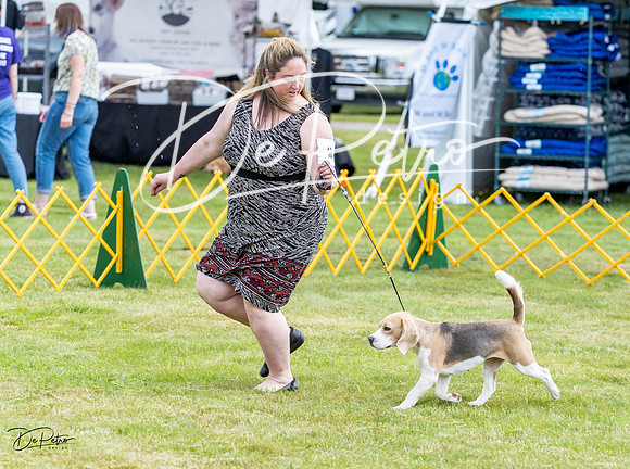 20230512-DSC03818