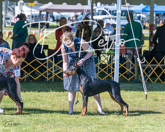 20230514-DSC02743