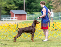 20230513-DSC08122