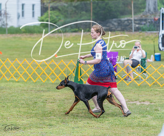 20230513-DSC08608