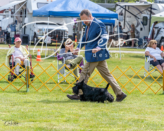 20230513-DSC00076