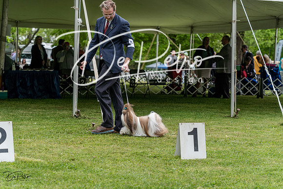 20230427-DSC04214