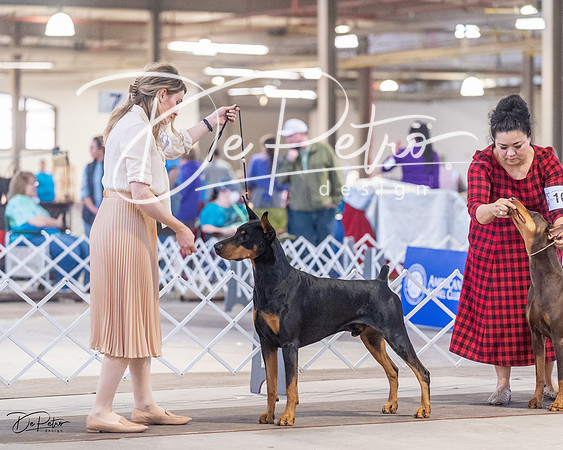 20230401-DSC06760