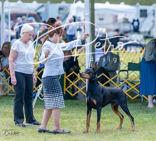 20230513-DSC08849
