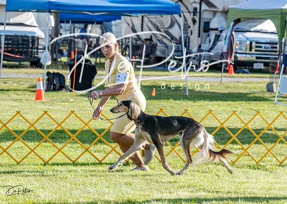 20230513-DSC02402