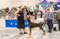 20261024-DSC00560