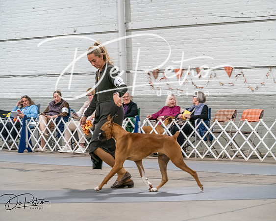 20261022-DSC02798