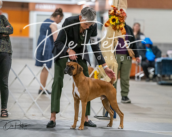 20261022-DSC02708