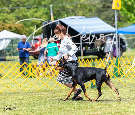 20230513-DSC08216