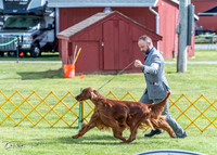 20230512-DSC05591