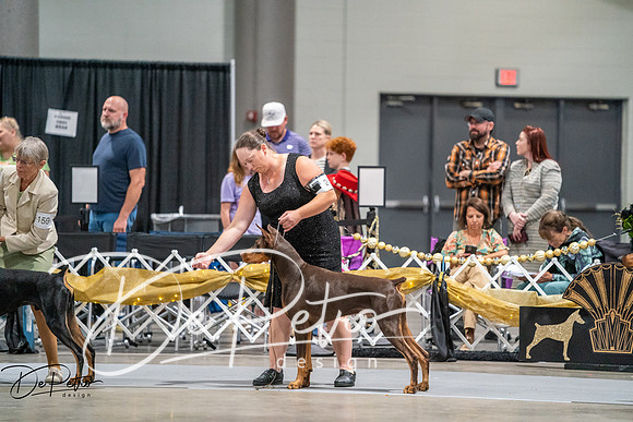 20260926-DSC04719