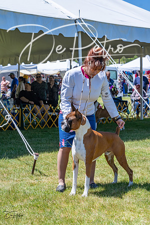 20230514-DSC04415
