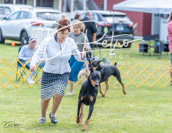 20230513-DSC08738