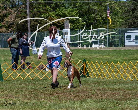 20230514-DSC04039