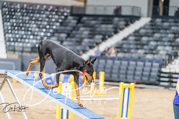 20260929-DSC06524
