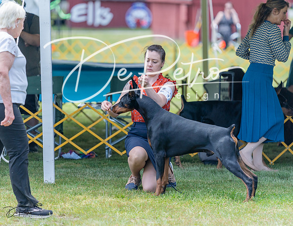 20230513-DSC08754