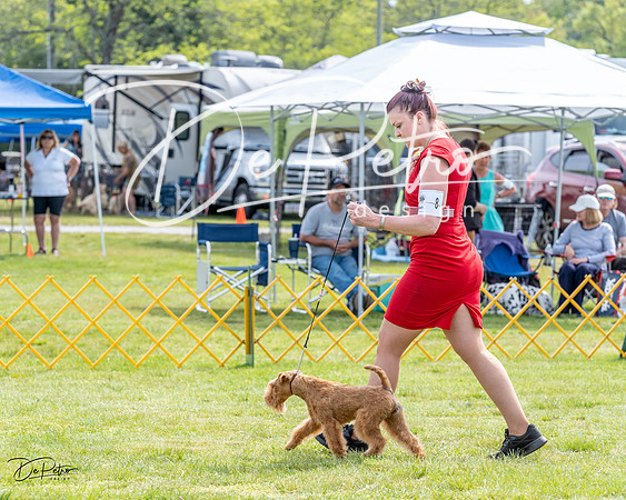 20230513-DSC00043
