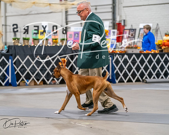 20261022-DSC02852