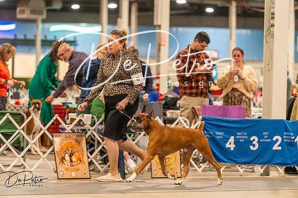 20261023-DSC05411