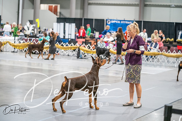 20260926-DSC04449