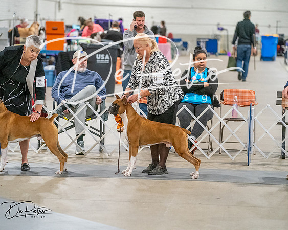 20261022-DSC02094