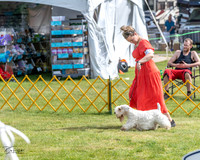 20230513-DSC00048