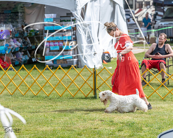 20230513-DSC00048
