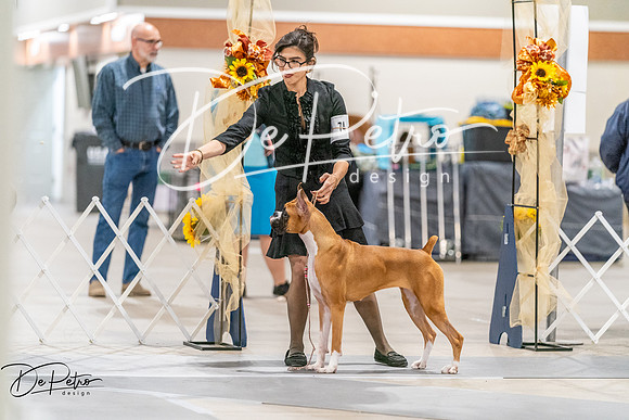 20261022-DSC00302