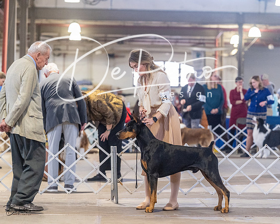 20230401-DSC06564
