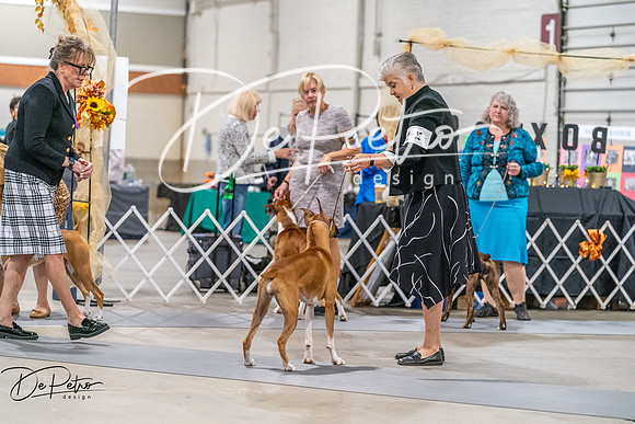 20261022-DSC00118