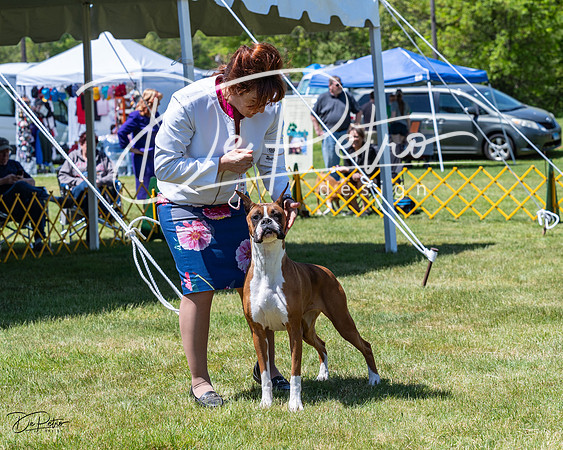 20230514-DSC04020