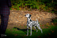 20261017-DSC08887