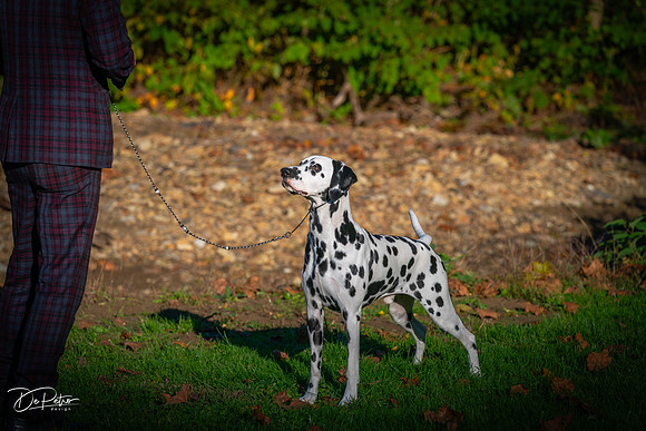 20261017-DSC08887