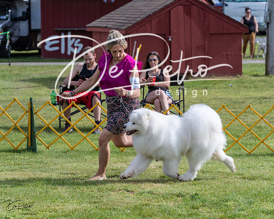 20230513-DSC00861