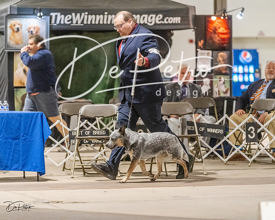 20230401-DSC07909