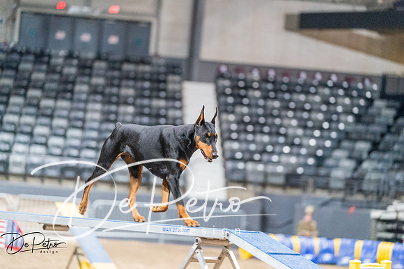20260929-DSC06507