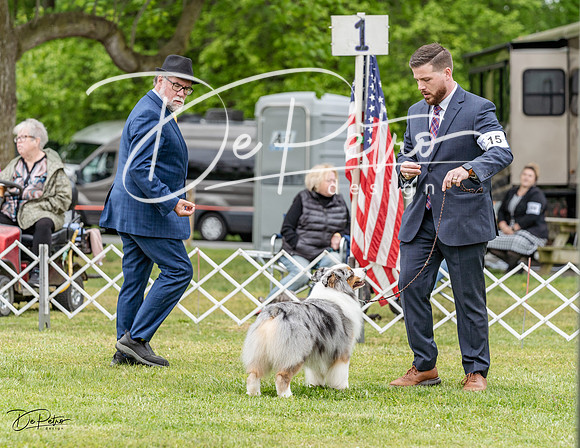 20230427-DSC07365