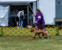 20230514-DSC03972