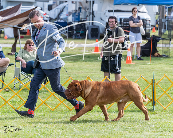 20230513-DSC01128