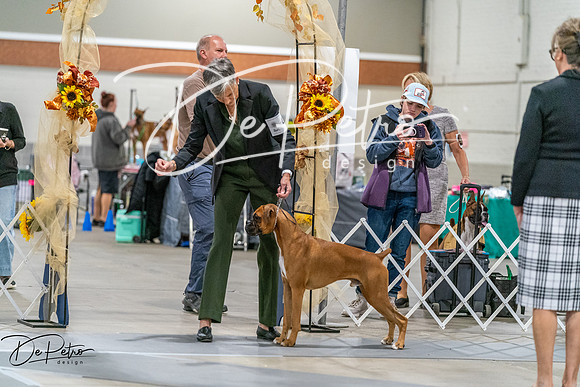 20261022-DSC09786